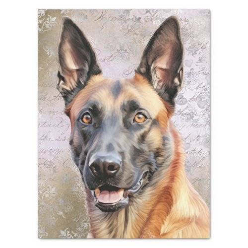 Belgian Shepherd Malinois Dog Tissue Paper