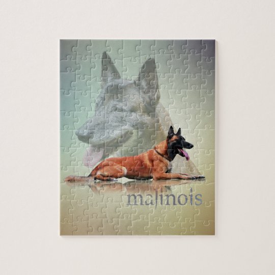 Belgian shepherd Malinois Jigsaw Puzzle