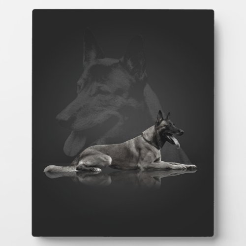 Belgian shepherd _ Malinois Plaque