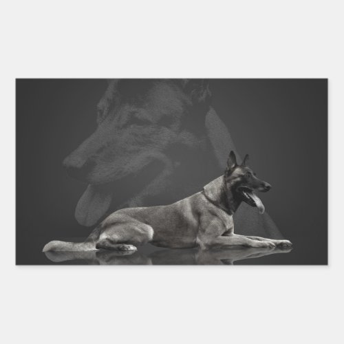 Belgian shepherd _ Malinois Rectangular Sticker