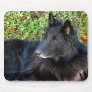 Belgian Shepherd mousepad