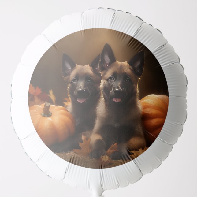 Belgian Shepherd Puppy Autumn Delight Pumpkin Balloon (Front)