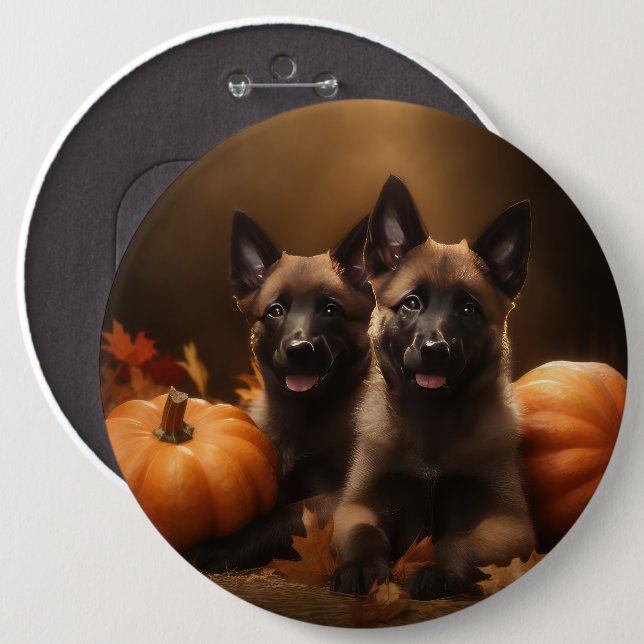 Belgian Shepherd Puppy Autumn Delight Pumpkin Button (Front & Back)