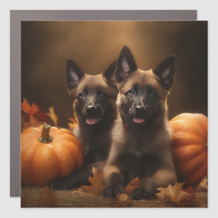 Belgian Shepherd Puppy Autumn Delight Pumpkin Car Magnet