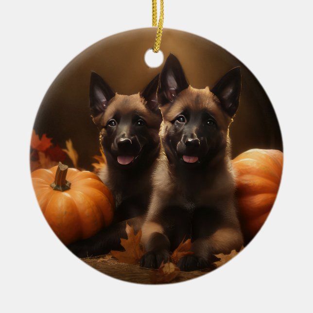 Belgian Shepherd Puppy Autumn Delight Pumpkin Ceramic Ornament (Front)