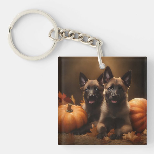 Belgian Shepherd Puppy Autumn Delight Pumpkin Keychain (Front)
