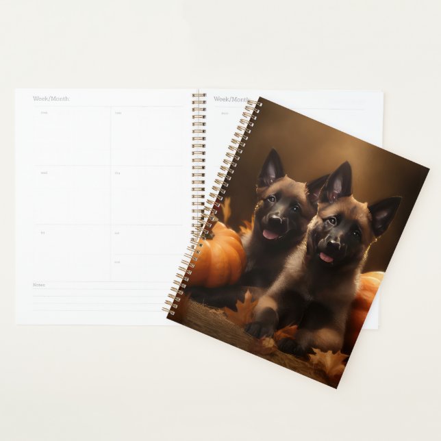 Belgian Shepherd Puppy Autumn Delight Pumpkin Planner (Display)