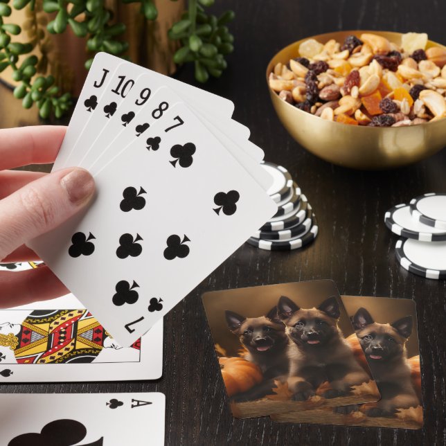 Belgian Shepherd Puppy Autumn Delight Pumpkin Poker Cards (In Situ)