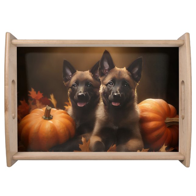 Belgian Shepherd Puppy Autumn Delight Pumpkin Serving Tray (Front)