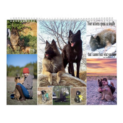 Belgian Shepherd Tervuren calendar