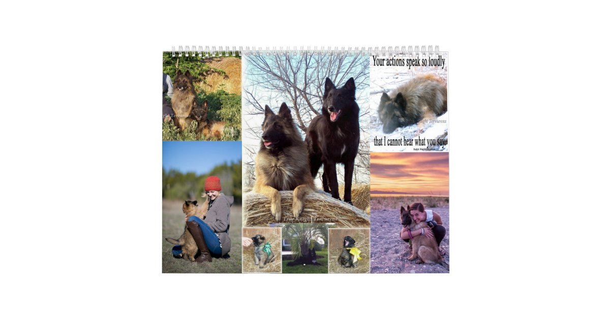 Belgian Shepherd Tervuren calendar Zazzle