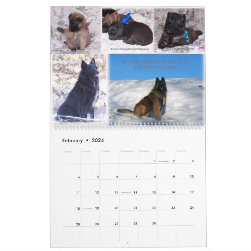 Belgian Shepherd Tervuren calendar Zazzle