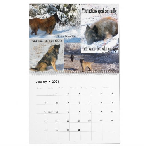 Belgian Shepherd Tervuren calendar Zazzle