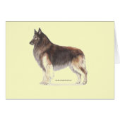 Belgian Tervuren (Front Horizontal)