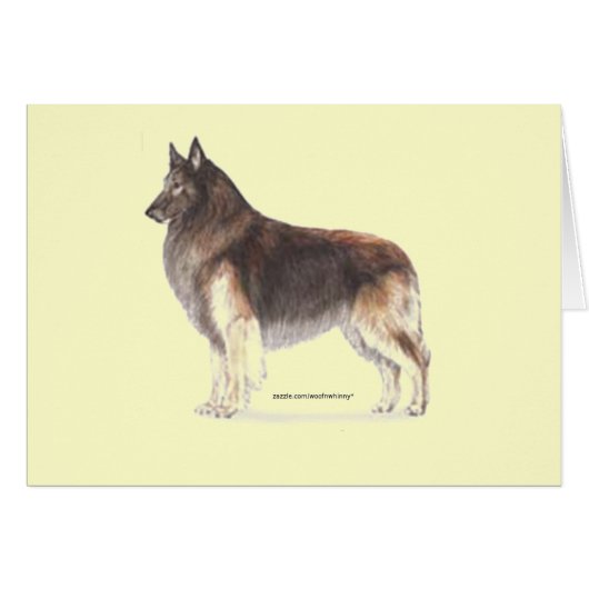 Belgian Tervuren (Front Horizontal)