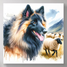 Belgian Tervuren