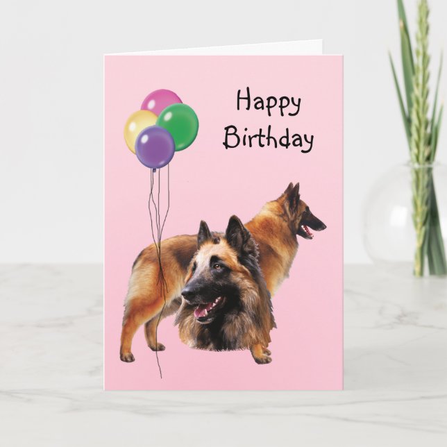 Belgian Tervuren, Birthday Balloons Card (Front)
