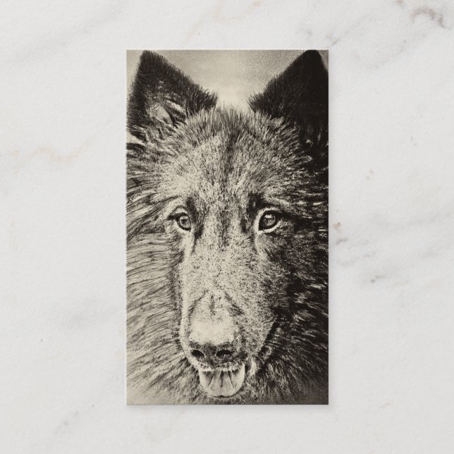 Belgian Tervuren Business Card (Front)