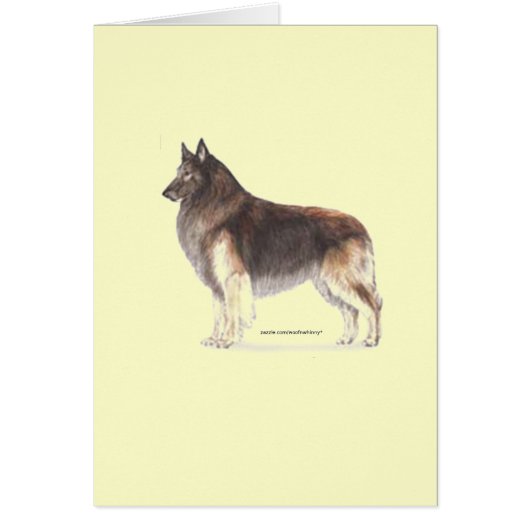 Belgian Tervuren Cards (Front)