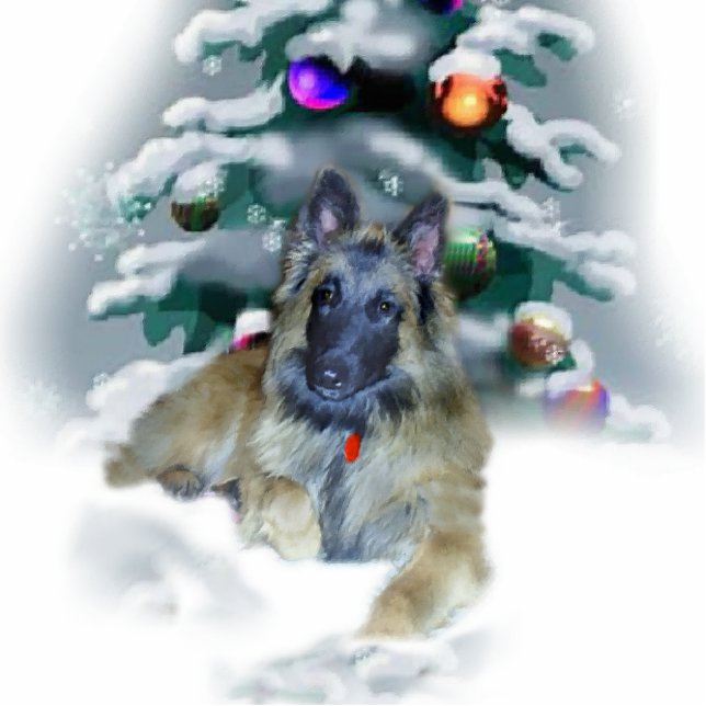 Belgian Tervuren Christmas Gifts Ornament (Front)