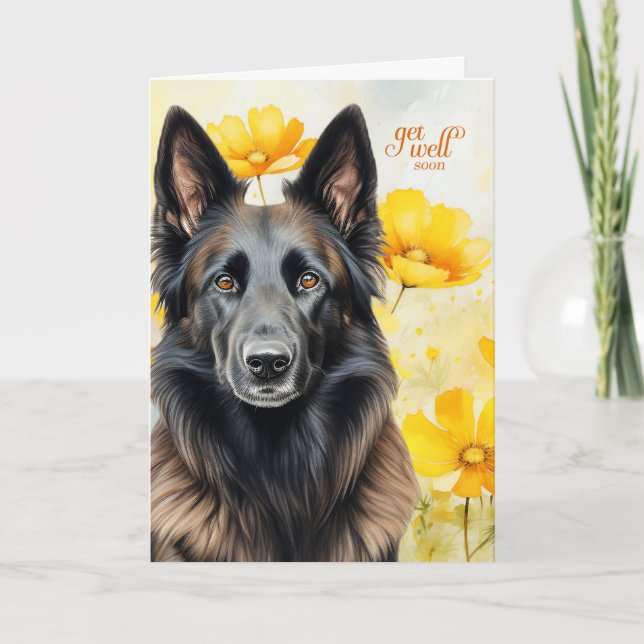 Belgian Tervuren Dog Golden Poppies Get Well Card (Front)