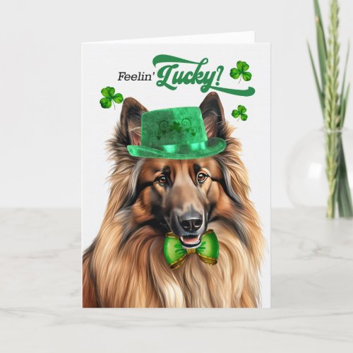 Belgian Tervuren Dog Lucky St Patricks Day Holiday Card