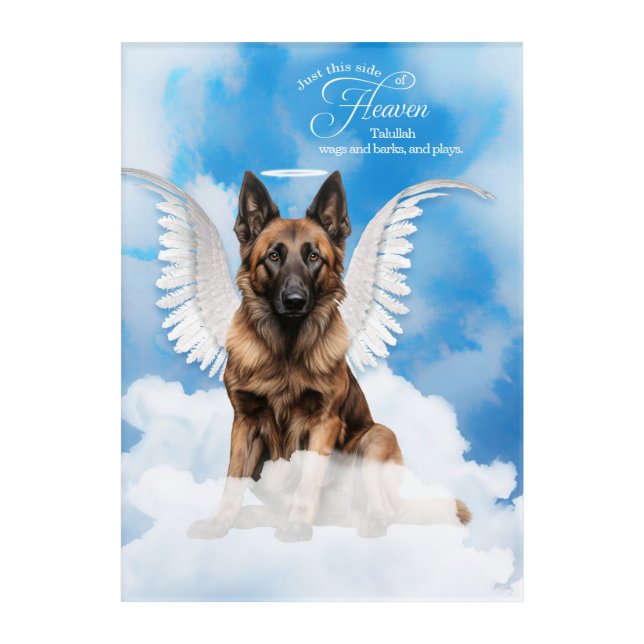 Belgian Tervuren Dog Personalized Pet Memorial Acrylic Print (Front)