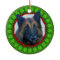 Belgian Tervuren Happy Howliday