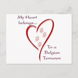 Belgian Tervuren Heart Belongs Postcard