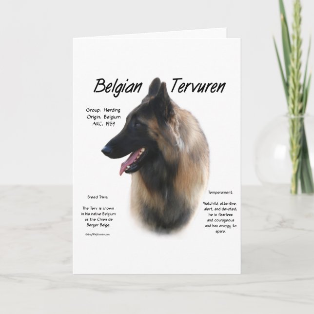 Belgian Tervuren Meet the Breed Holiday Card (Front)