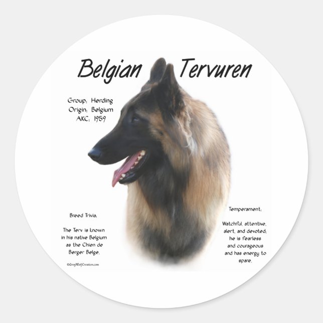 Belgian Tervuren Meet the Breed - Sticker (Front)
