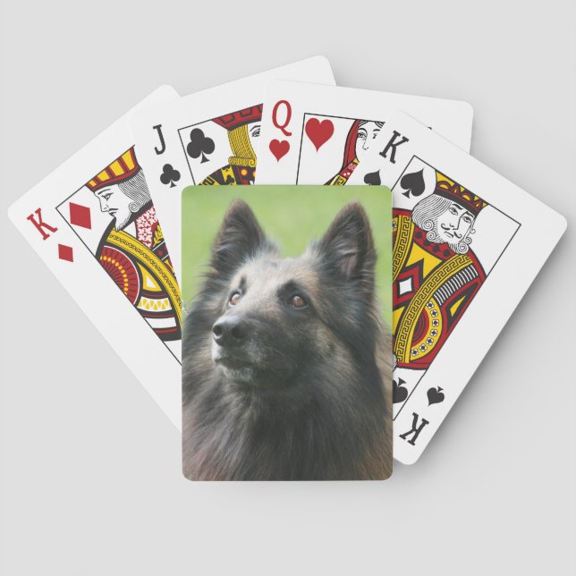 Belgian Tervuren Poker Cards (Back)