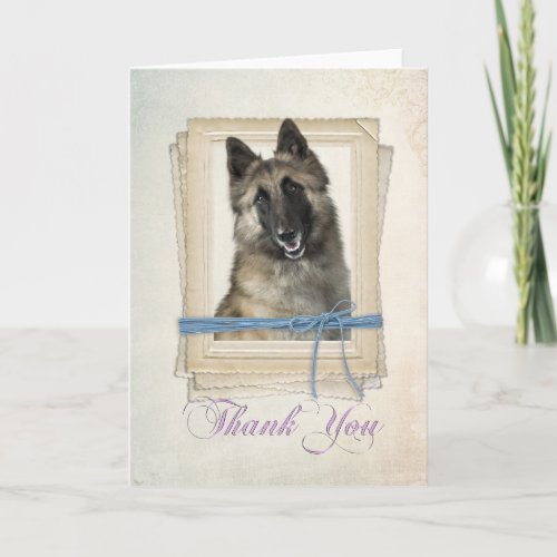 Belgian Tervuren Thank You Card