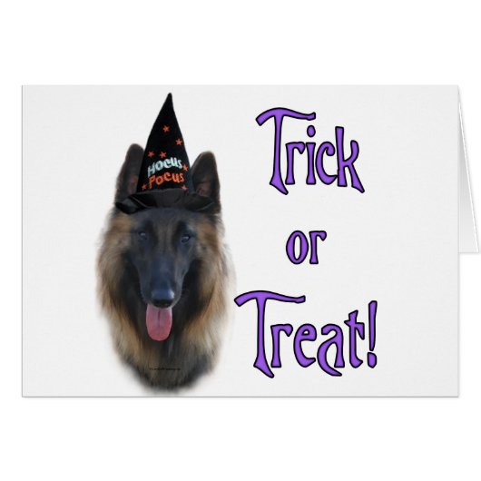 Belgian Tervuren Trick Cards (Front Horizontal)