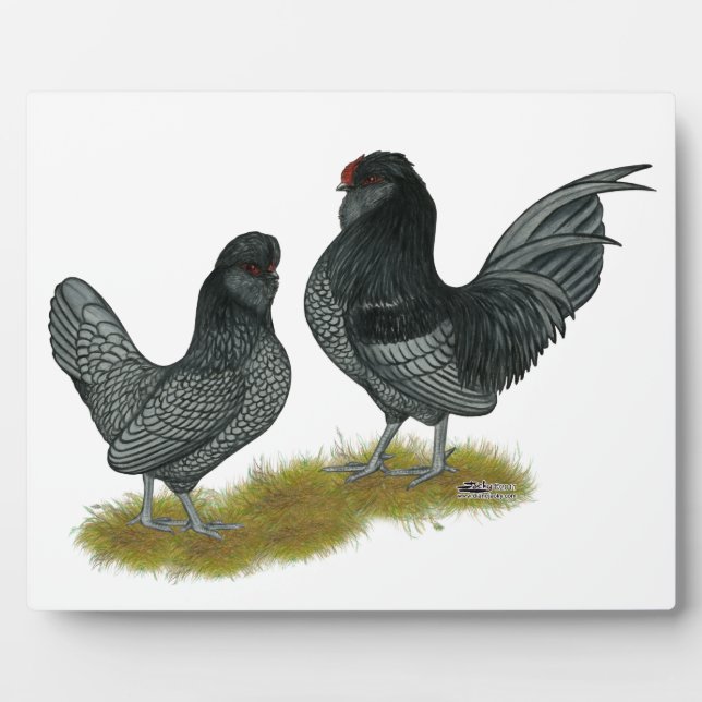 Belgian Watermaal Bantams Plaque (Front)