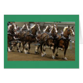 Belgians Card (Front Horizontal)