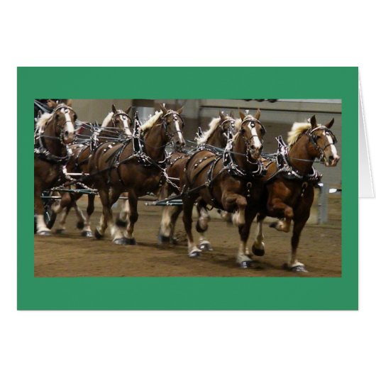 Belgians Card (Front Horizontal)