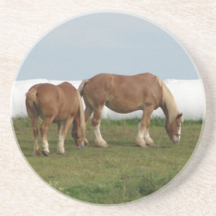 Belgians Drink Coaster