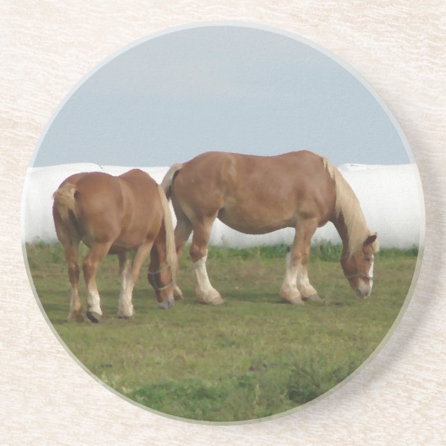 Belgians Drink Coaster (Front)