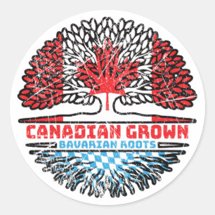 Belgium Belgian Canadian Canada Tree Roots Flag Classic Round Sticker