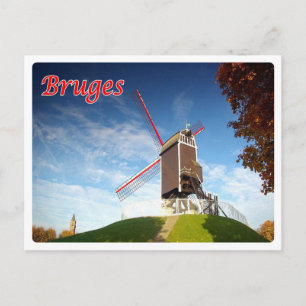 Belgium - Bruges - Moulin - Postcard