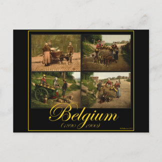Belgium Dog-Cart Milk Seller Vintage Images Postcard
