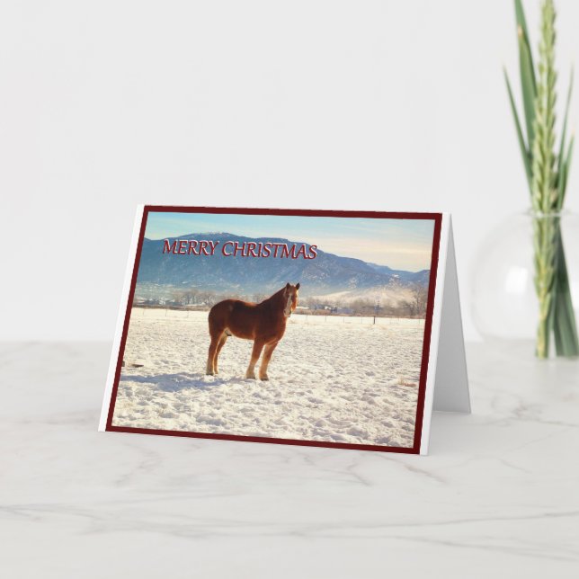 Belgium Draft Horse Christmas Greeting Card (Front)