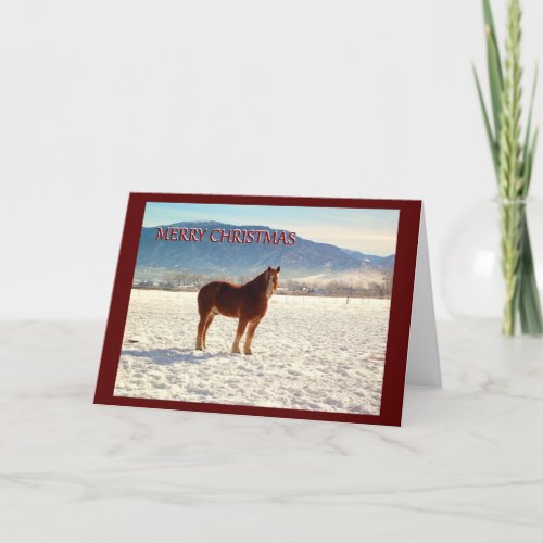 Belgium Draft Horse Christmas Greeting Card