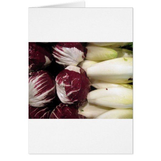 Belgium Endigo (Front)