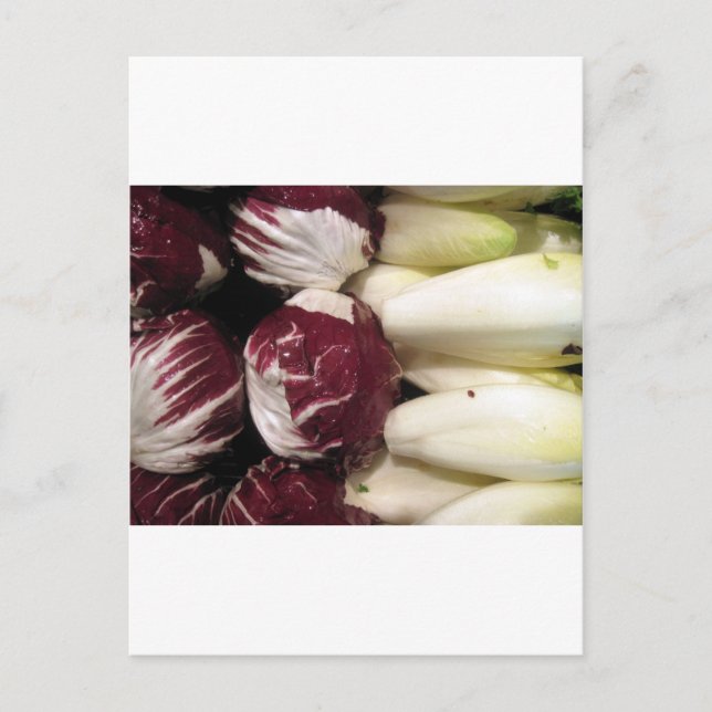 Belgium Endigo Postcard (Front)