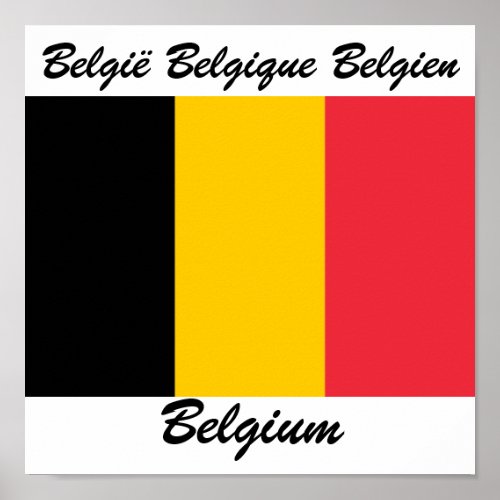 Belgium Languages Flag Poster