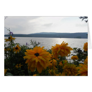 Belgrade Lakes Cards
