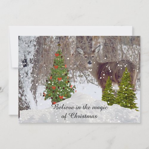 Believe in Christmas Magic Flat Holiday Card