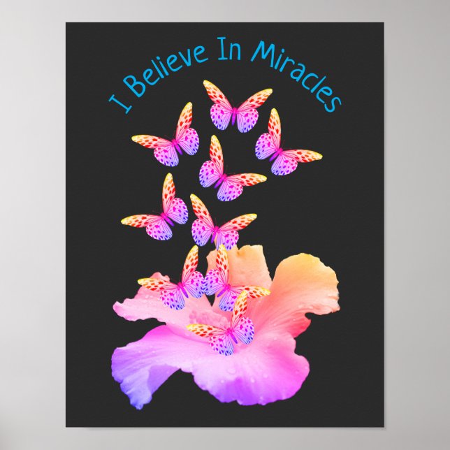 Believe In Miracles Hibiscus Flower Butterflies   Poster (Front)